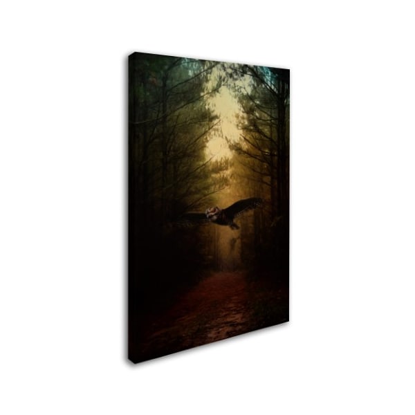 Jai Johnson 'Guardian Of The Forest' Canvas Art,30x47